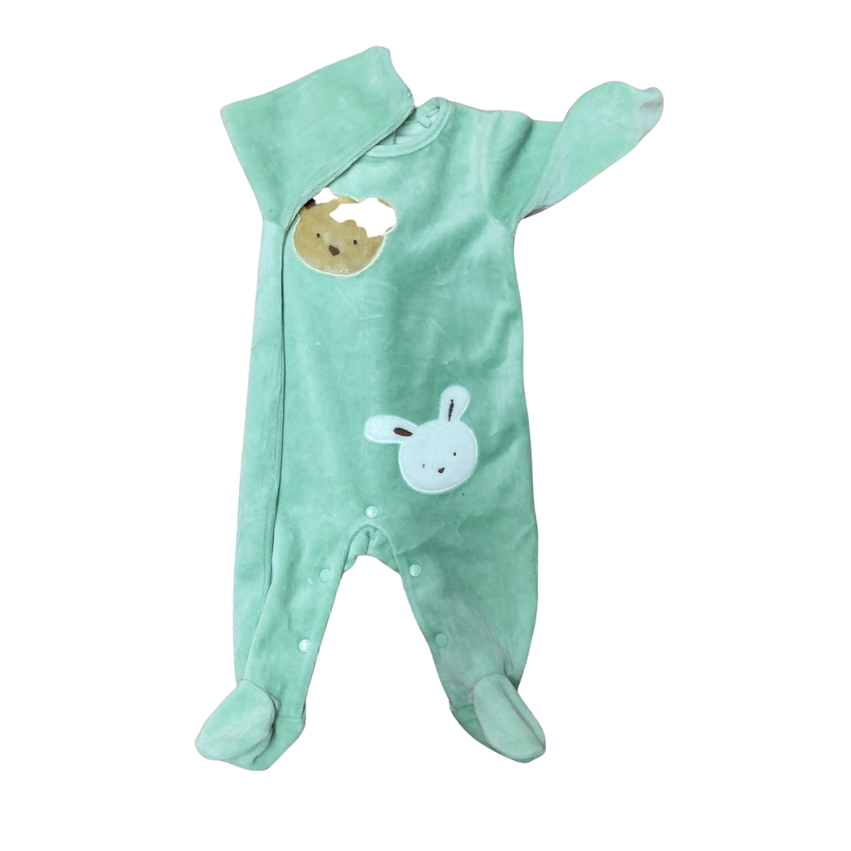 Osito de plush verde diseño osito