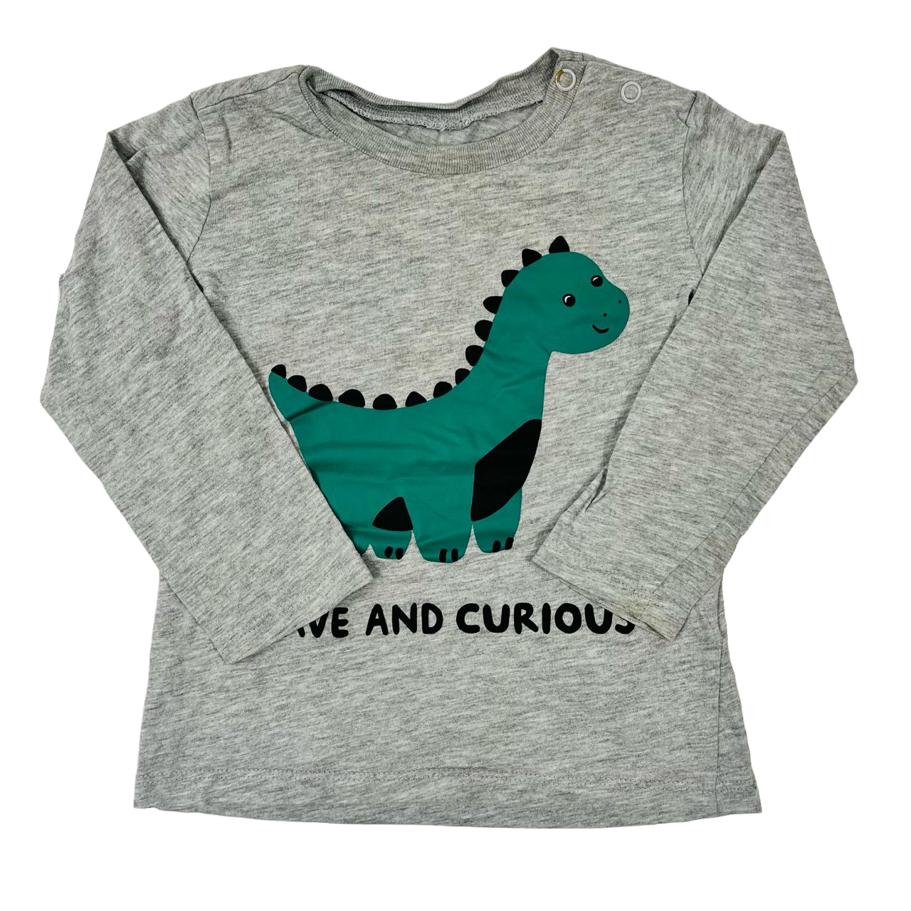 Polera manga larga gris diseño de dinosaurio brave and curious